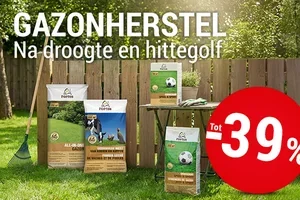 Ontdek alles om je gazon te herstellen na deze warme zomer