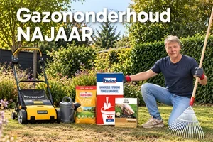 Gazon herstellen? Ontdek onze tips!