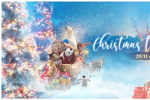 De Kerstnocturnes in Pairi Daiza, vanaf morgen open tot 20u!