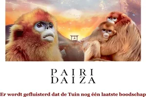 De brieven van de Tuin: een laatste blik op 2025