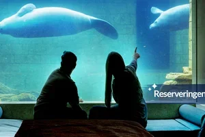 Pairi Daiza Resort : Boek nu een onvergetelijke nacht bij de lamantijnen