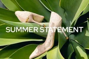 Elegant shoes and pumps