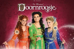 Er is groot nieuws in het kasteel…