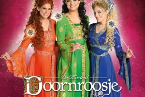 👑 Aan alle prinsen en prinsessen van het land!