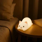Slapende kat nachtlampje