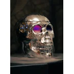 Skull fog machine with light