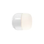 Ifo Electric - Ohm 100/110 Plafondlamp/Wandlamp