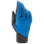 Denali 2 Gloves