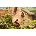 ZooParc Overloon