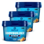 3 x Bodybuilder Stack Powder (elk 216g)