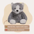 Lotgenootje Kat 2kg