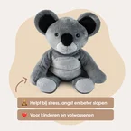 Lotgenootje Koala 2kg