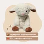Lotgenootje Schaap 2kg