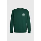 O'Neill Small Logo Crew sweater | Emerald Envy